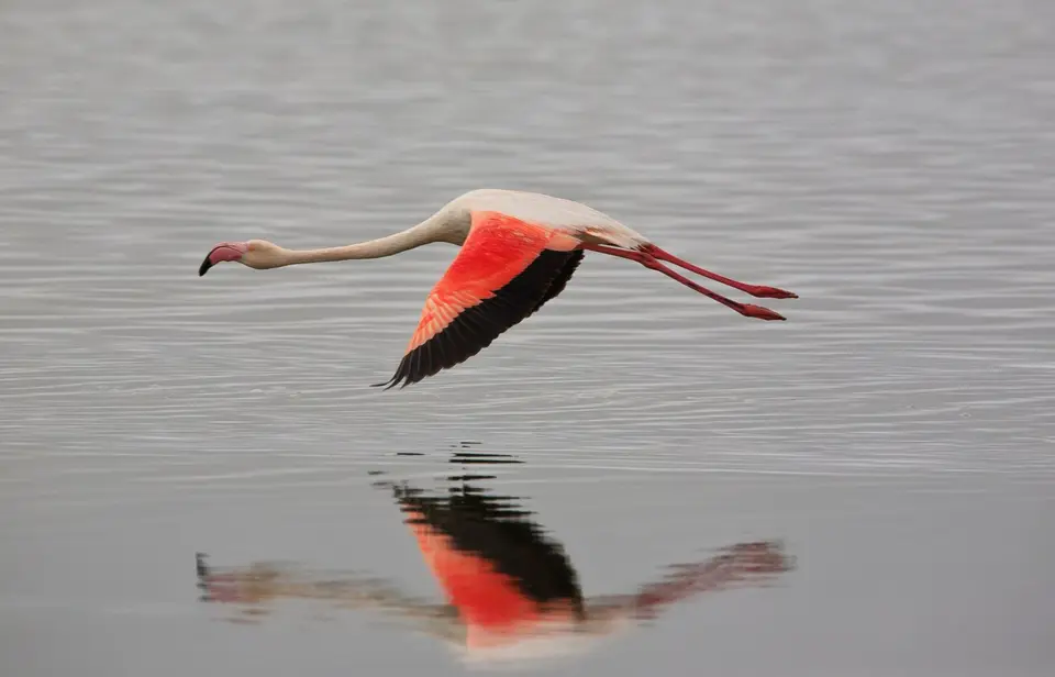 Namibia_WalvisBay_140.jpg