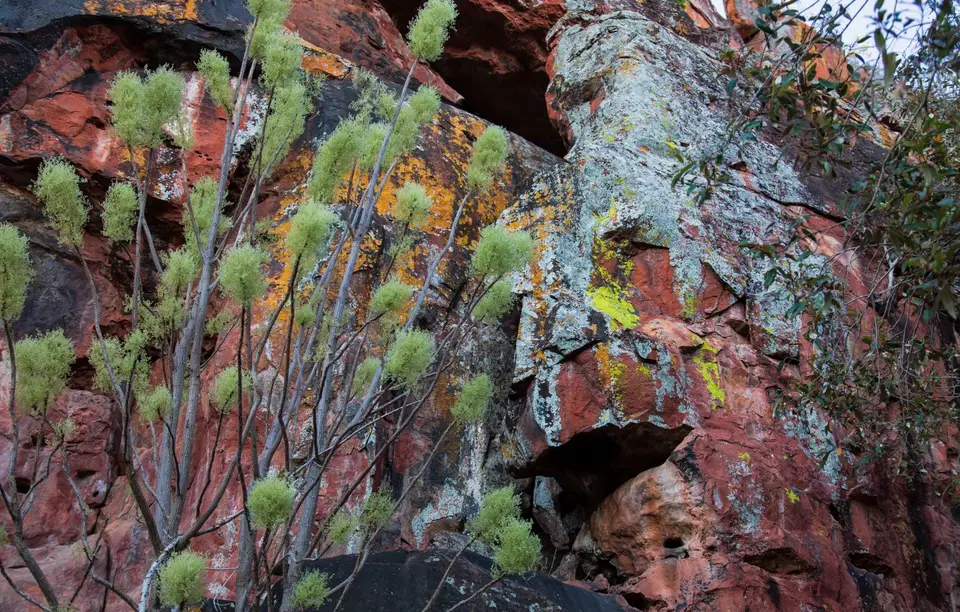 Namibia_Waterberg_07.jpg