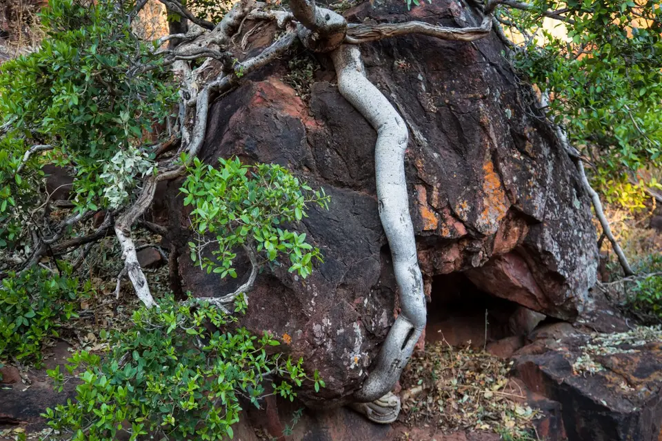Namibia_Waterberg_15.jpg