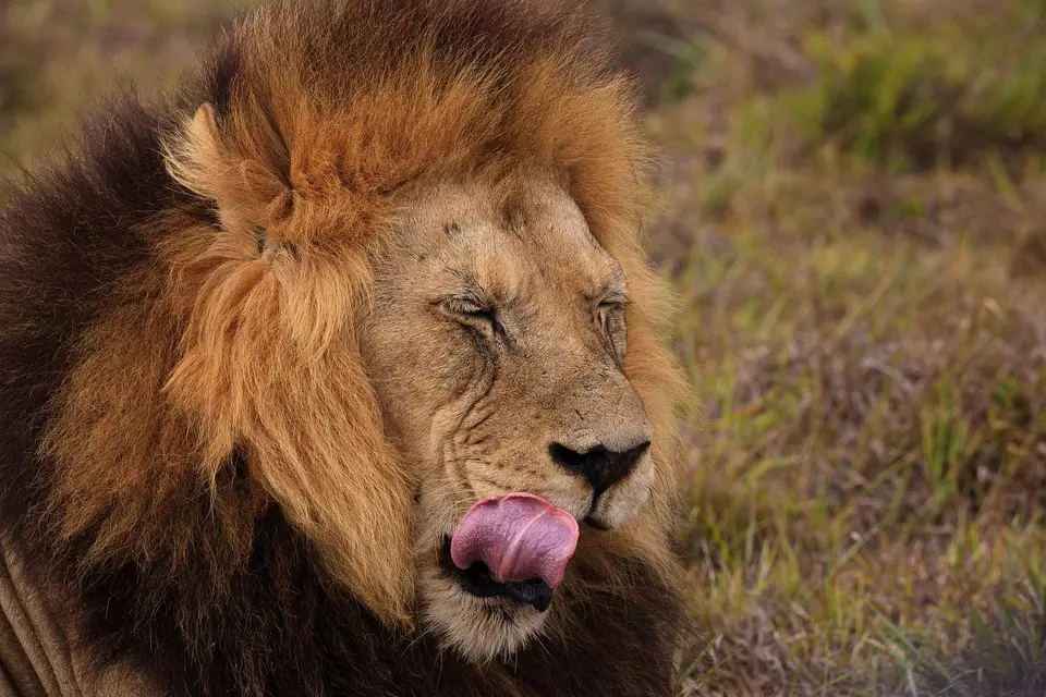 Südafrika_AddoElephantNP_092.jpg
