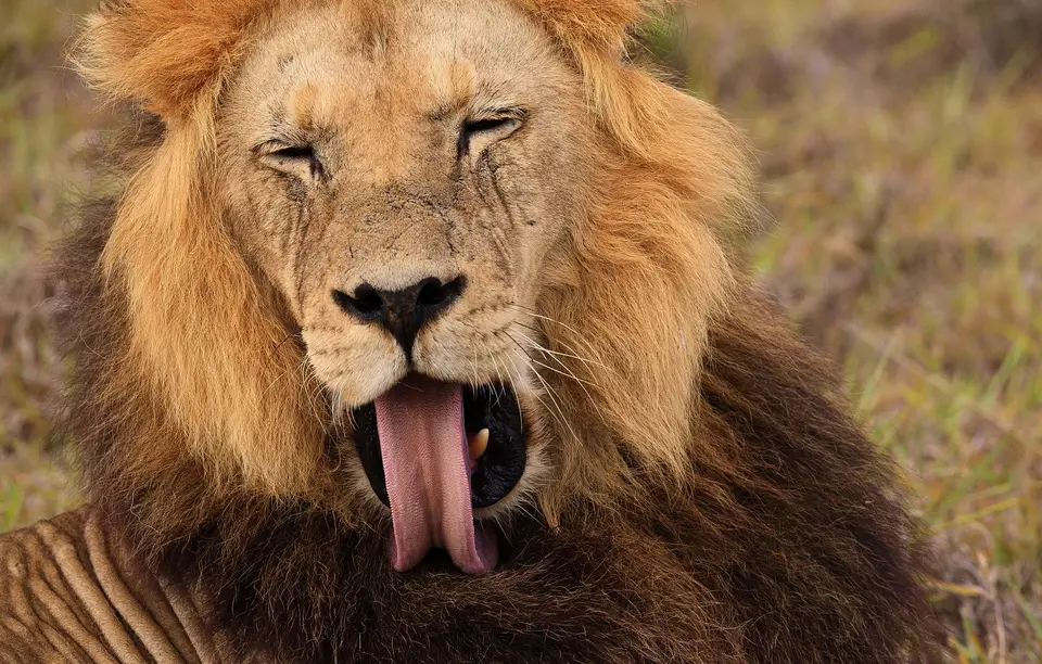 Südafrika_AddoElephantNP_097.jpg