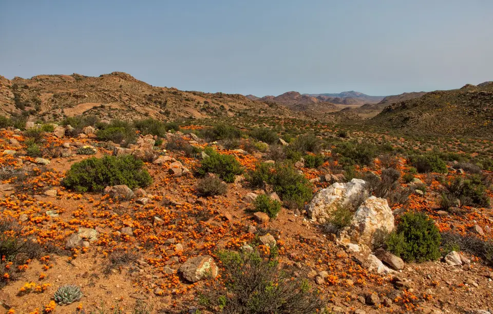 Südafrika_GoegapNR_56.jpg