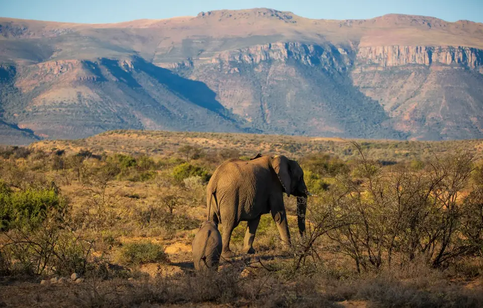 Südafrika_GraaffReinet_MtCamdeboo_061.jpg