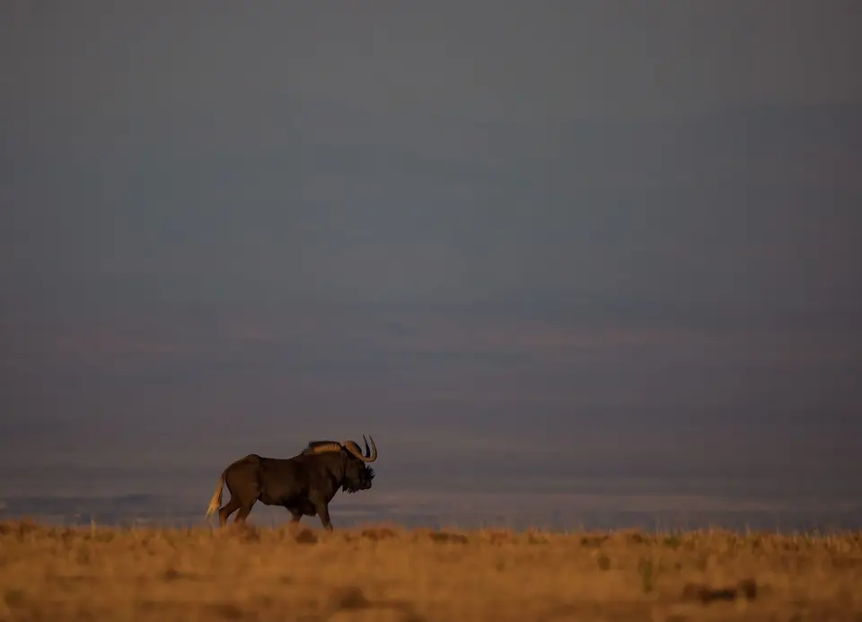 Südafrika_GraaffReinet_MtCamdeboo_086.jpg