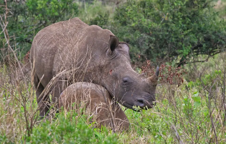 Südafrika_Hluhluwe_005.jpg