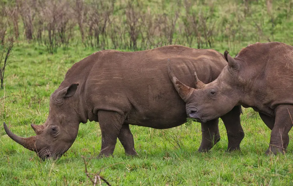 Südafrika_Hluhluwe_007.jpg