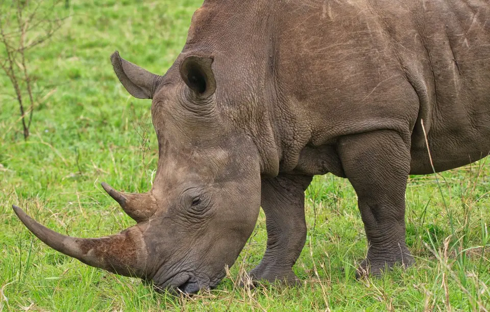 Südafrika_Hluhluwe_009.jpg