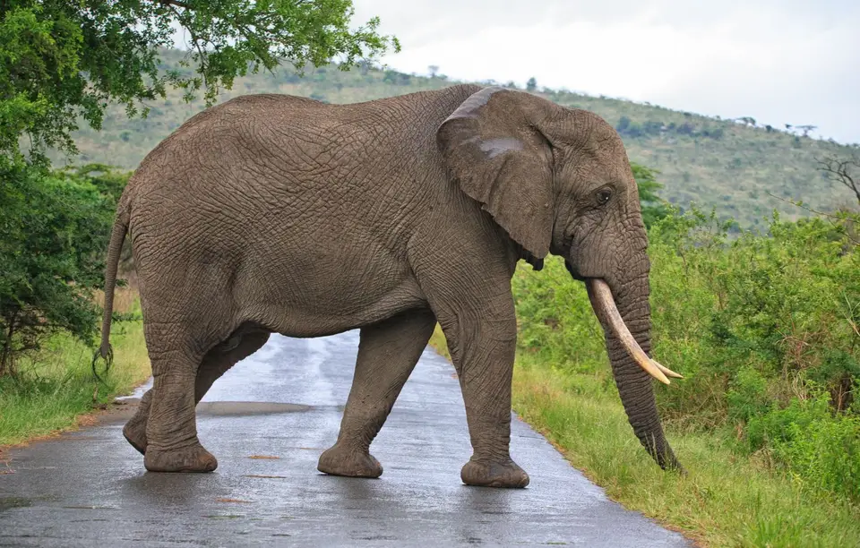 Südafrika_Hluhluwe_019.jpg