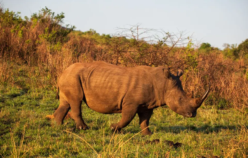 Südafrika_Hluhluwe_022.jpg