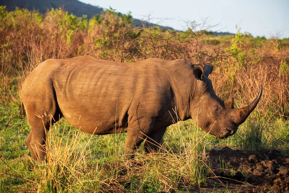 Südafrika_Hluhluwe_023.jpg