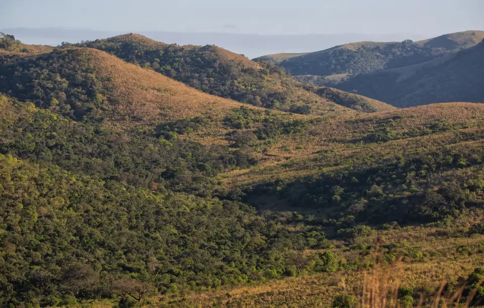Südafrika_Hluhluwe_043.jpg