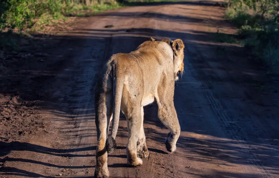Südafrika_Hluhluwe_048.jpg