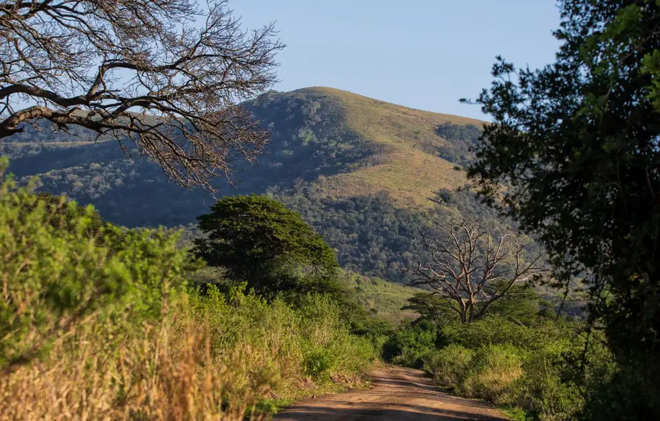 Südafrika_Hluhluwe_050.jpg