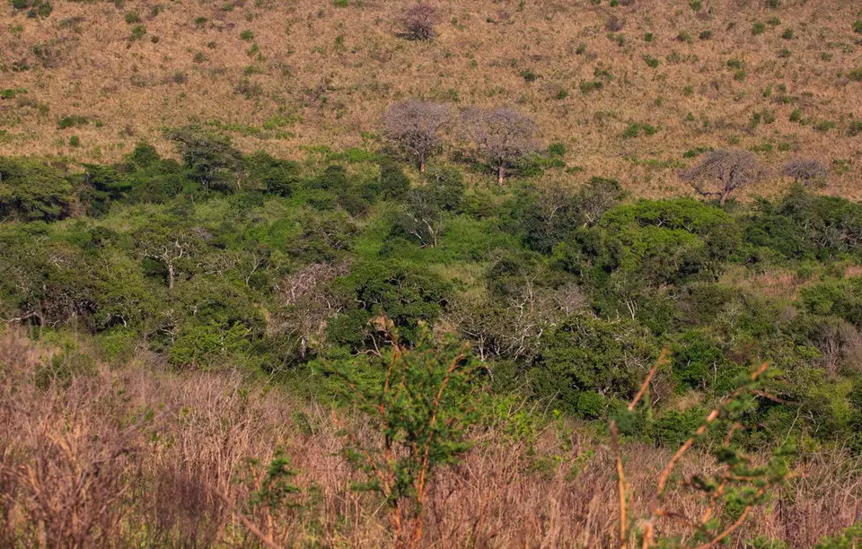 Südafrika_Hluhluwe_052.jpg