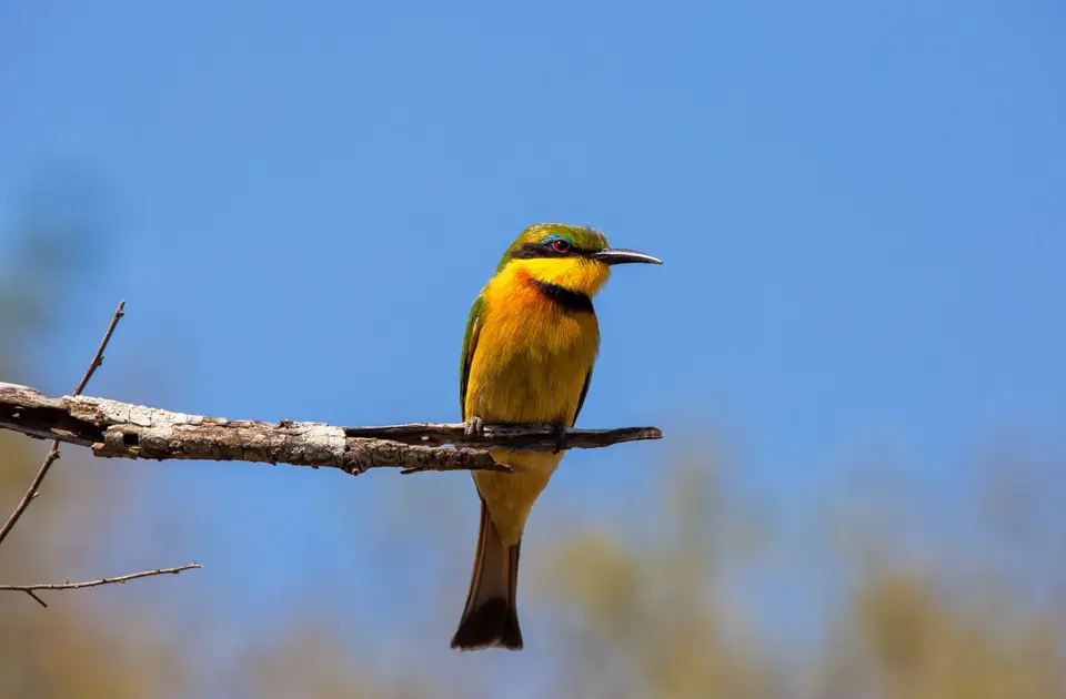 Südafrika_Hluhluwe_065.jpg