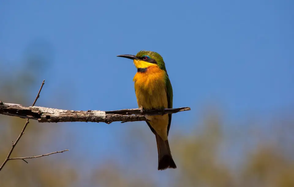 Südafrika_Hluhluwe_066.jpg
