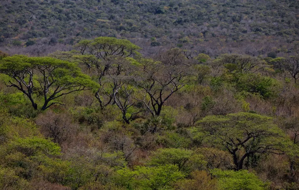 Südafrika_Hluhluwe_070.jpg