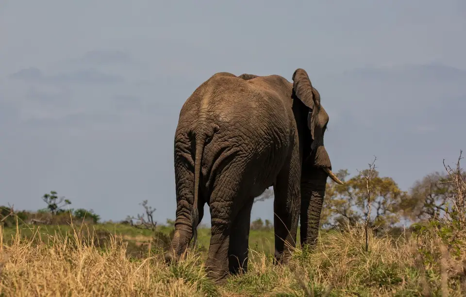 Südafrika_Hluhluwe_090.jpg