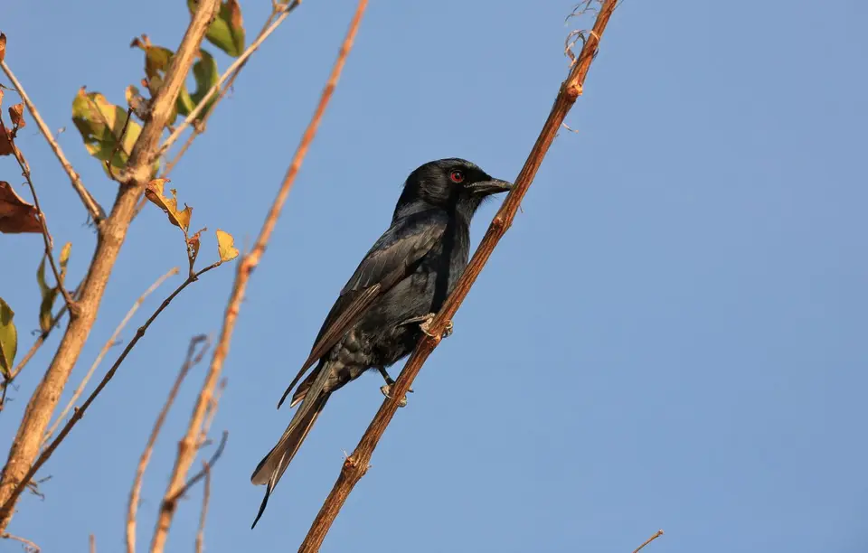 Südafrika_Hluhluwe_093.jpg