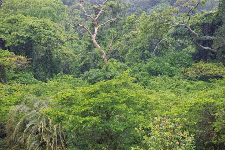 Südafrika_Isimangaliso_004.jpg