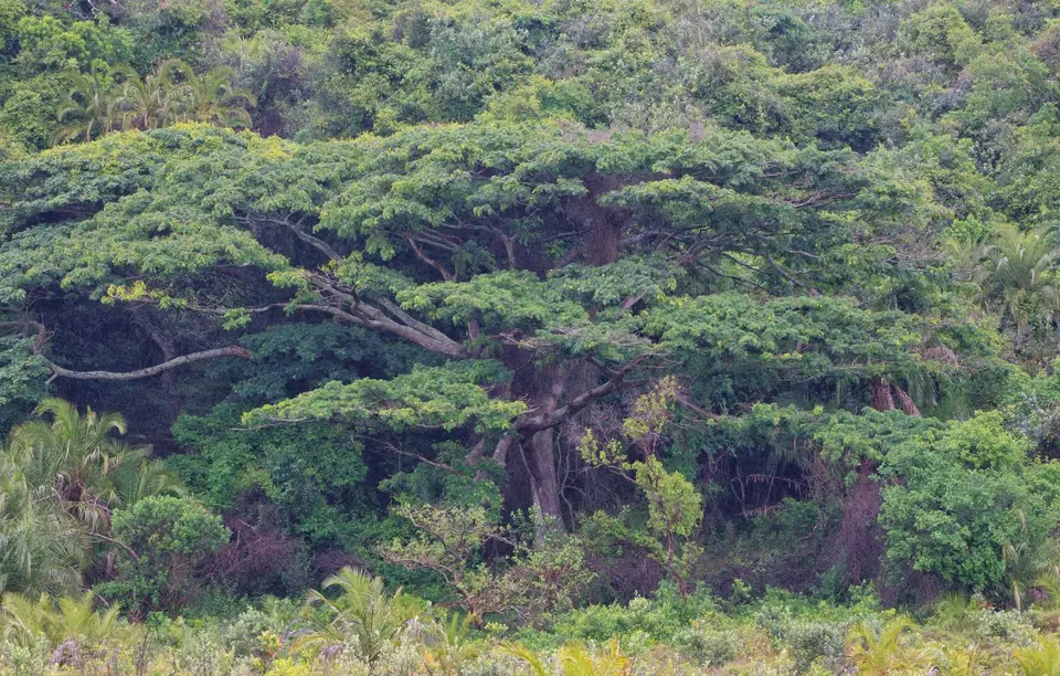 Südafrika_Isimangaliso_008.jpg