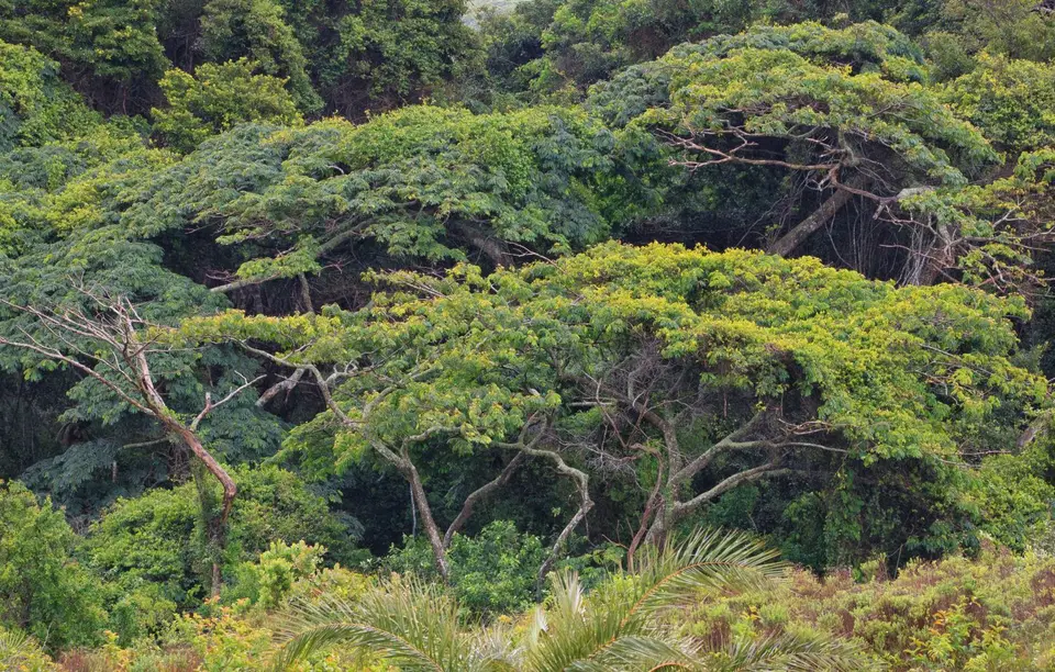 Südafrika_Isimangaliso_009.jpg