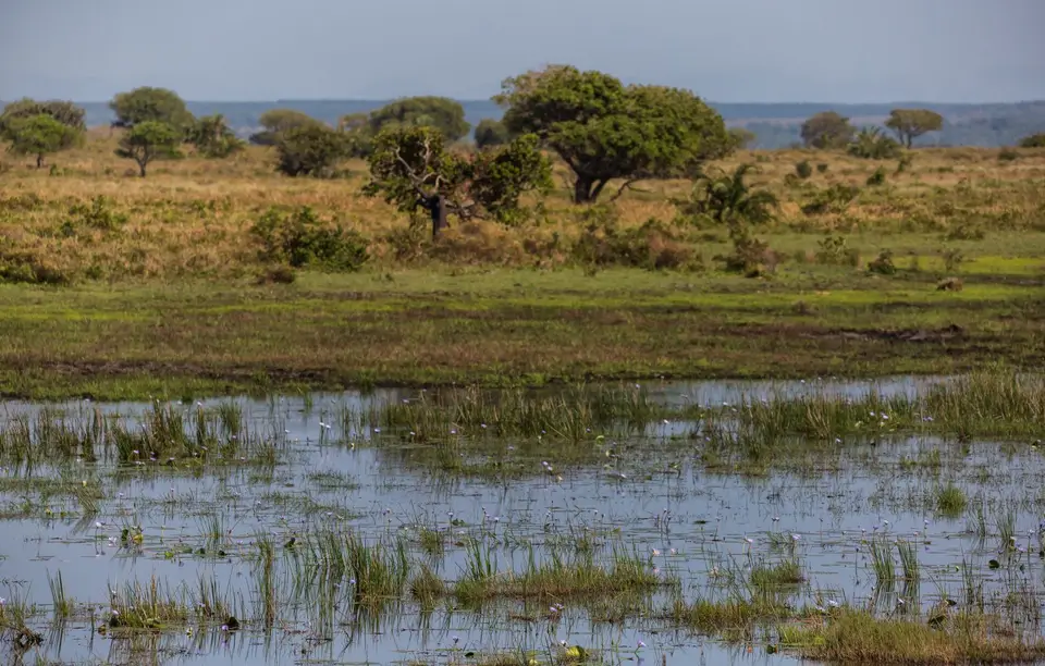 Südafrika_Isimangaliso_027.jpg