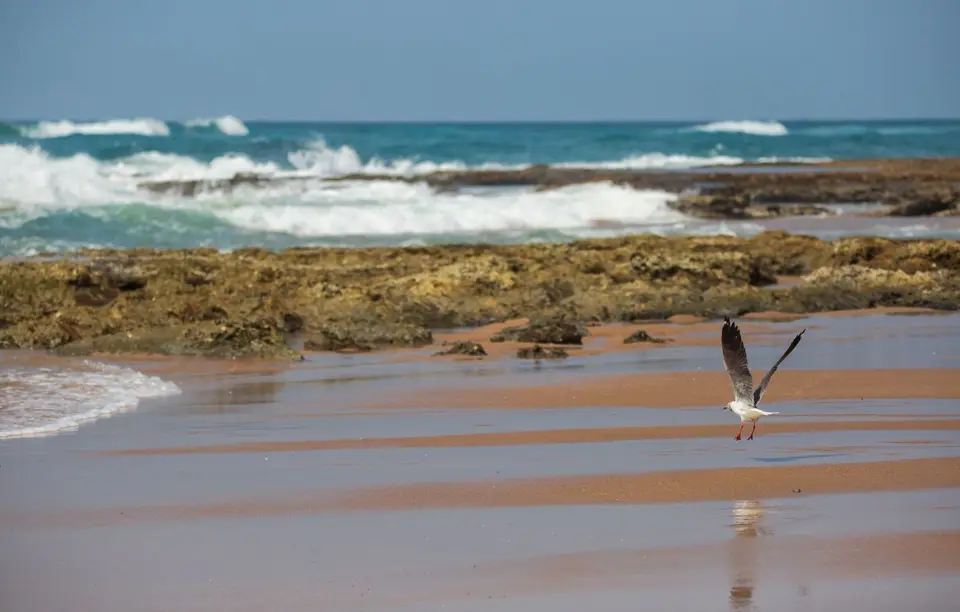 Südafrika_Isimangaliso_052.jpg