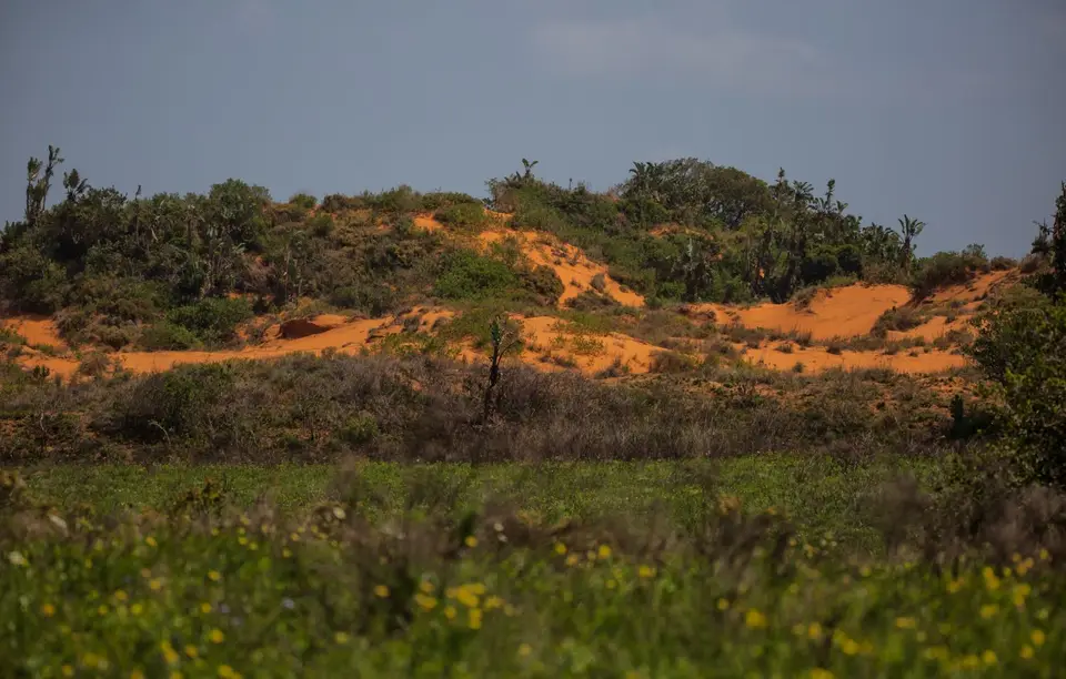 Südafrika_Isimangaliso_082.jpg