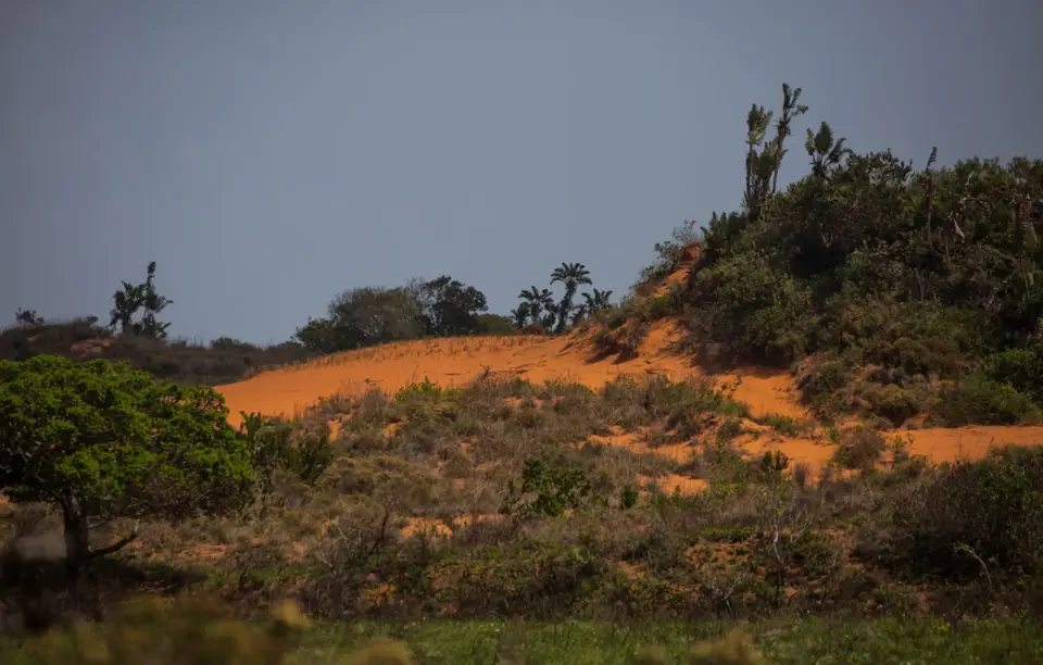 Südafrika_Isimangaliso_083.jpg