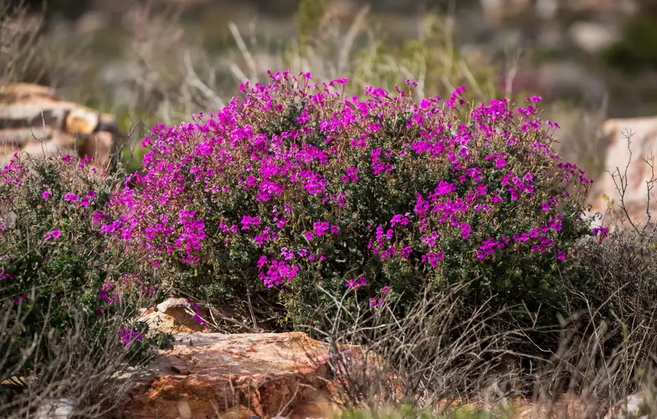 Südafrika_KaggaKamma_006.jpg
