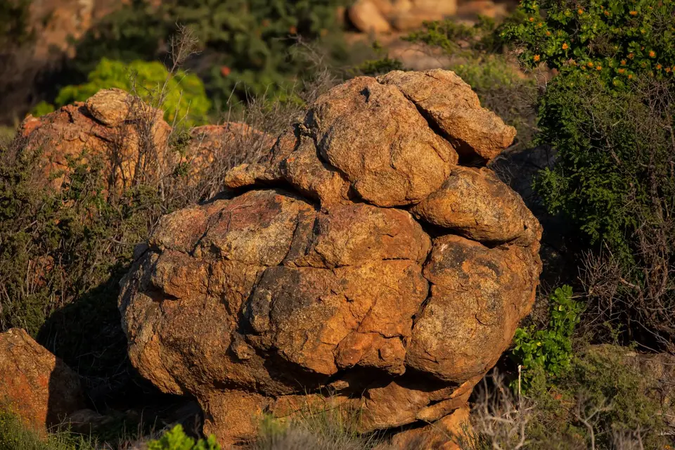Südafrika_Kamieskroon_VerbeFarm_31.jpg