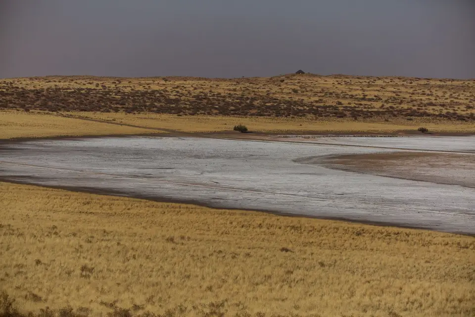 Südafrika_KgalagadiNP_706.jpg