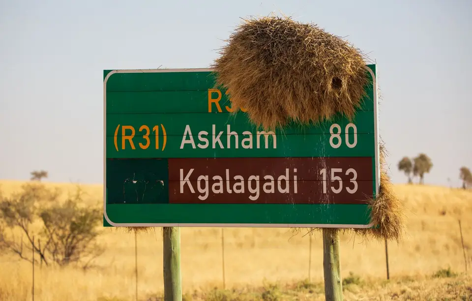Südafrika_KgalagadiNP_709.jpg