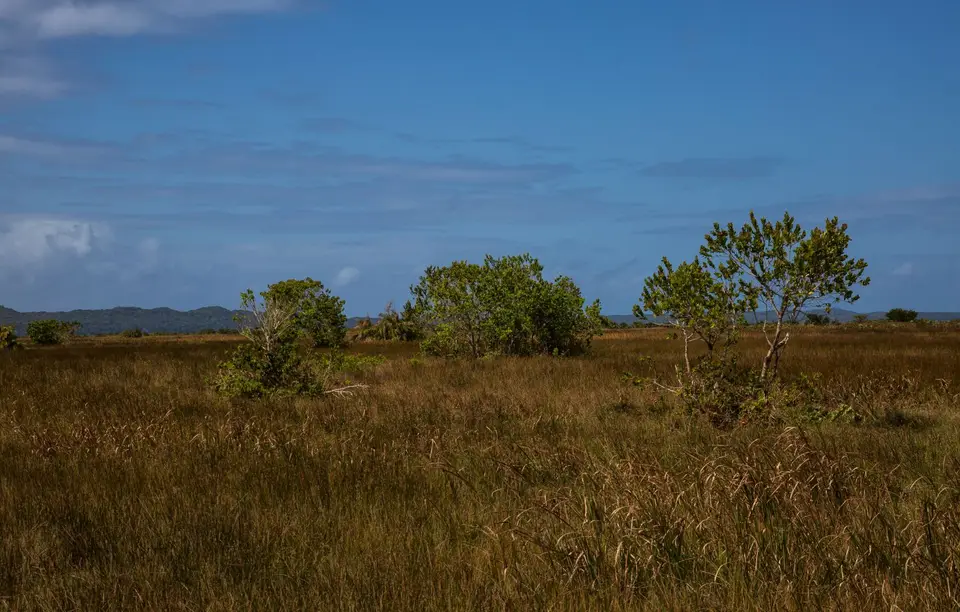 Südafrika_KosiBay_026.jpg