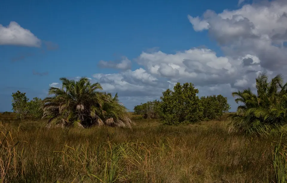 Südafrika_KosiBay_027.jpg