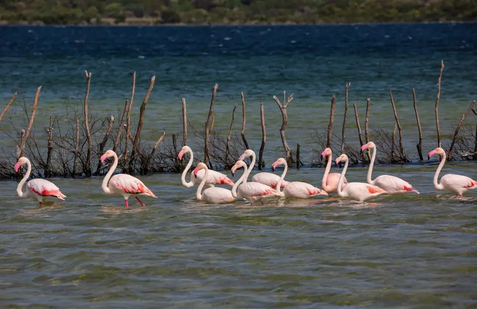 Südafrika_KosiBay_148.jpg