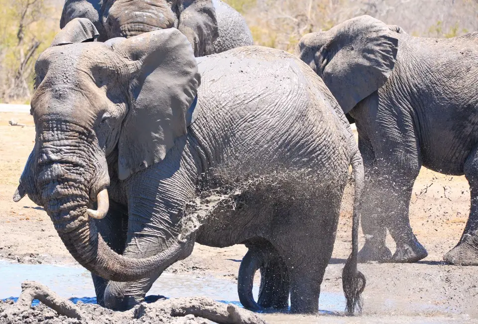 Südafrika_KrugerNP_070.jpg