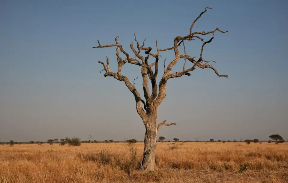 Südafrika_KrugerNP_1023.jpg
