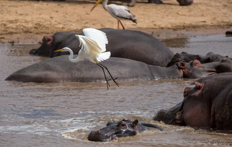 Südafrika_KrugerNP_1155.jpg