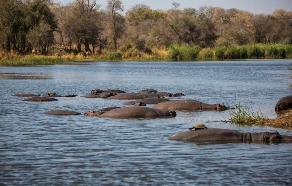 Südafrika_KrugerNP_1270.jpg
