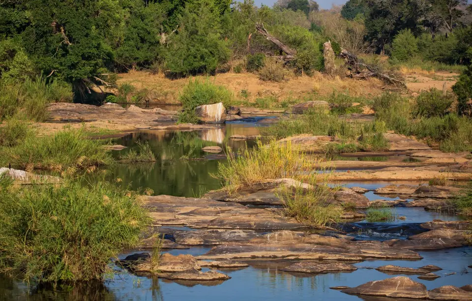 Südafrika_KrugerNP_1331.jpg