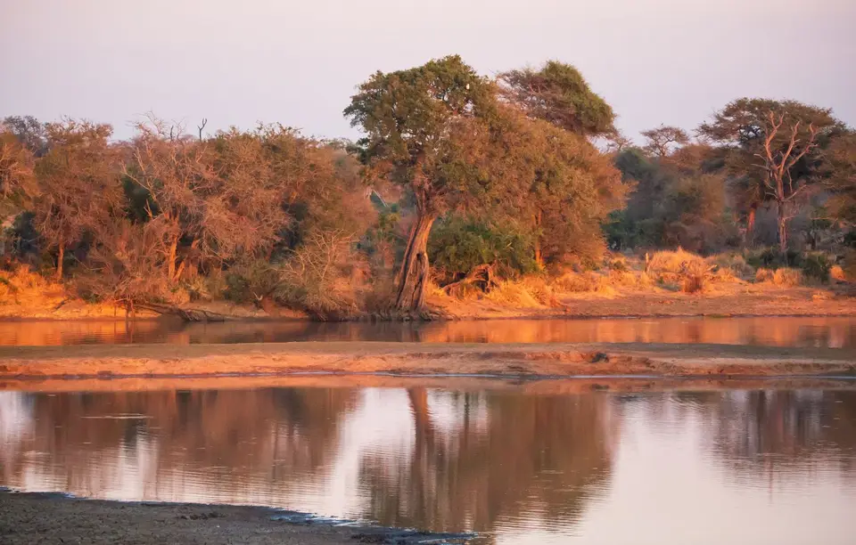 Südafrika_KrugerNP_1395.jpg