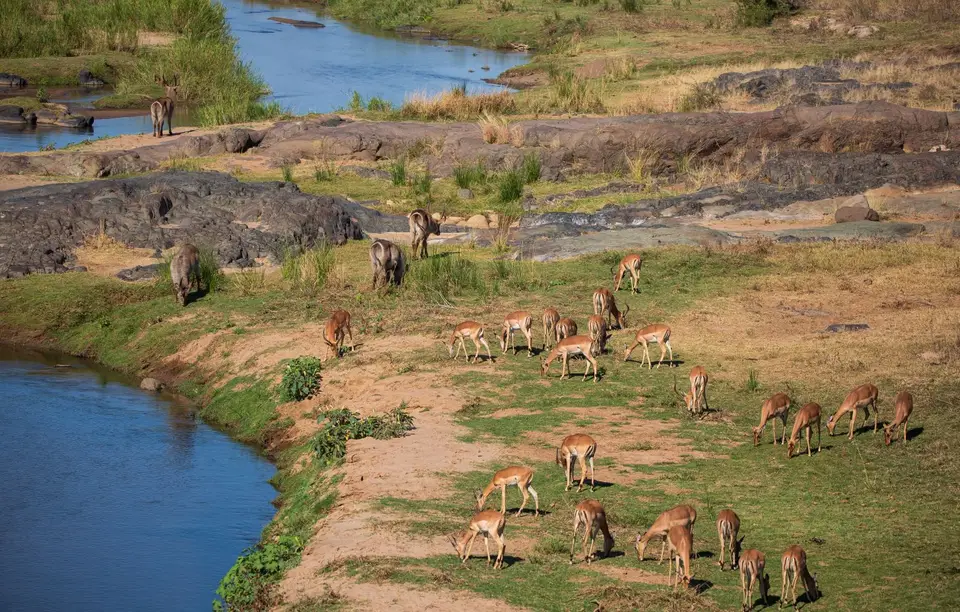 Südafrika_KrugerNP_1507.jpg