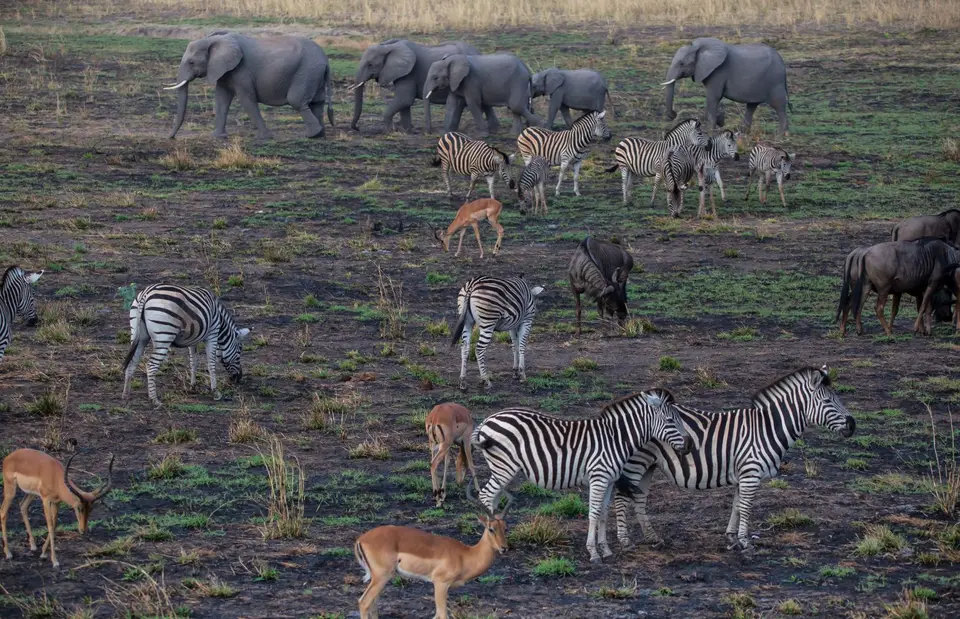 Südafrika_KrugerNP_1639.jpg