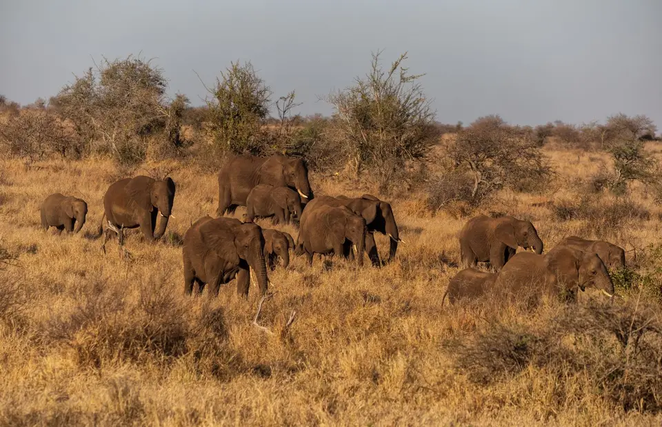 Südafrika_KrugerNP_1717.jpg