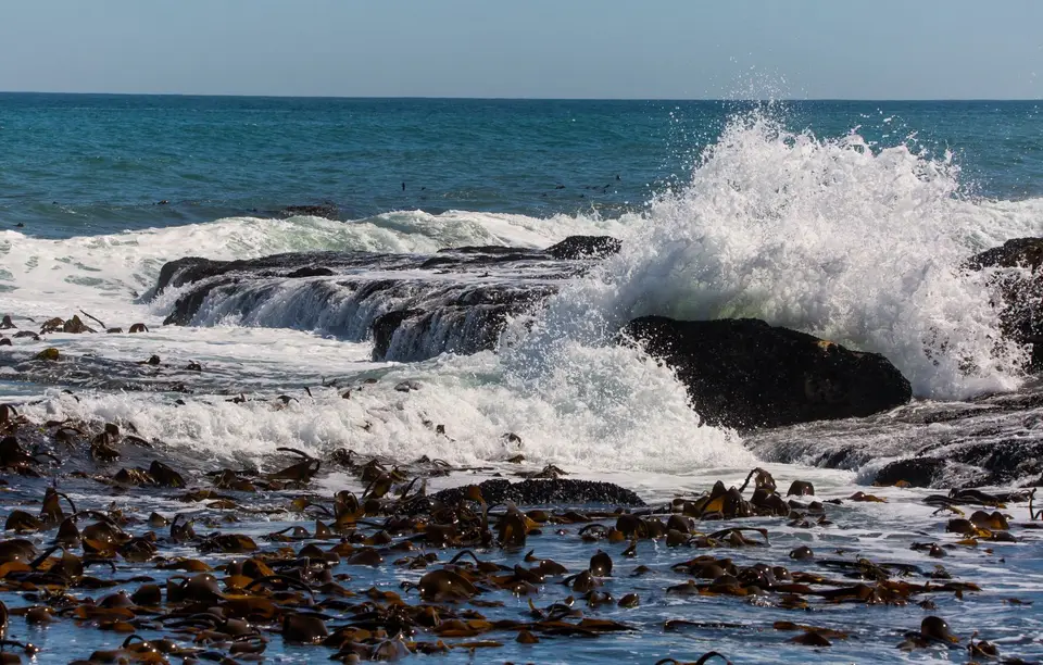 Südafrika_LambertsBay_188.jpg
