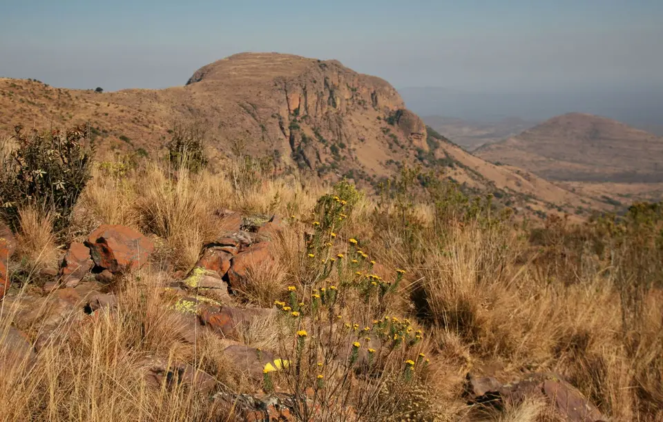 Südafrika_MarakeleNP_011.jpg