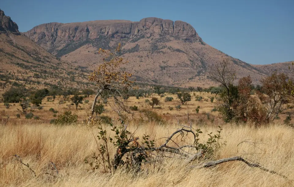 Südafrika_MarakeleNP_015.jpg