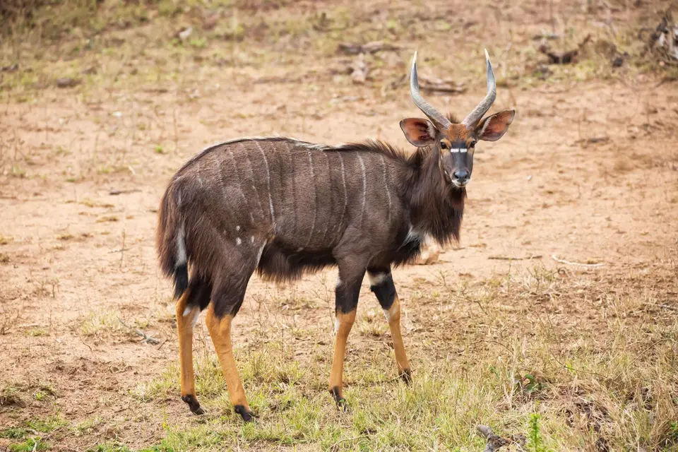 Südafrika_Mkuze_09.jpg